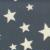 :iconstarscasade: