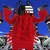 :iconstarshipranger2107: