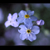 :iconstarspinner: