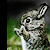 :iconstarspoon: