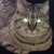 :iconstarstorm777: