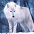 :iconstarvingartist2011: