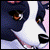 :iconstaryjoy: