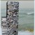:iconstatic-fish: