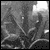 :iconstatic07-: