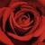:iconstatic90: