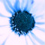 :iconstaticanchor: