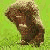:iconstaticsc: