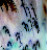 :iconstaticwizard: