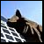 :iconstatue-of-hachiko: