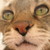 :iconstayace: