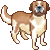 :iconstbernard:
