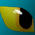 :iconsteam-raven: