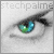 :iconstechpalme: