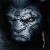 :iconsteelmule: