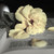 :iconstefanie-nyu: