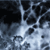 :iconstefblue: