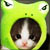 :iconsteffynelli: