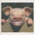:iconstefu: