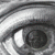 :iconsteggles25: