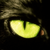 :iconstegox: