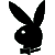 :iconsteimel: