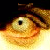 :iconsteinherz: