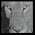 :iconsteinlowe: