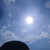 :iconstelina-kistune: