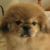 :iconstella1998: