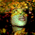 :iconstellanera:
