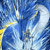 :iconstellarccc: