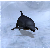 :iconstellarfairie: