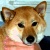 :iconstellarleen: