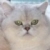 :iconstellathediver: