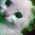 :iconstemansuarez: