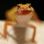 :iconstengehm: