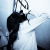 :iconstenografie: