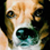:iconstenokeys: