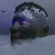:iconsteohawk: