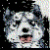 :iconstepany: