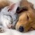 :iconstephanie567: