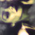 :iconstephaniesonia: