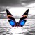:iconstephanoxxx: