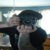 :iconstephen-crocker: