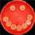:iconstephenchong318: