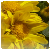 :iconstephenritchie: