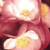 :iconstereoPOLICE:
