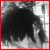 :iconstereoscopic: