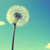 :iconstereoscopic20: